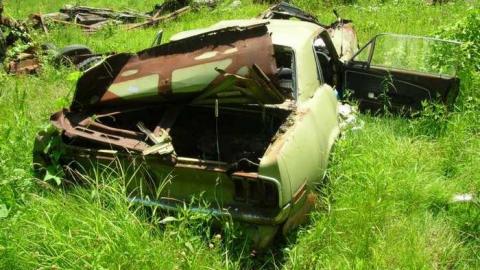 Summer exploring - DSCN1431.jpg