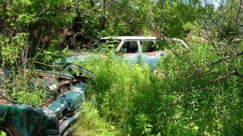 Summer exploring - DSCN1433.jpg