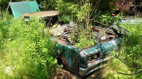 Summer exploring - DSCN1434.jpg