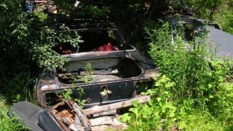 Summer exploring - DSCN1435.jpg