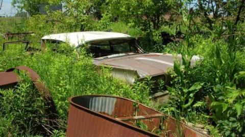 Summer exploring - DSCN1436.jpg