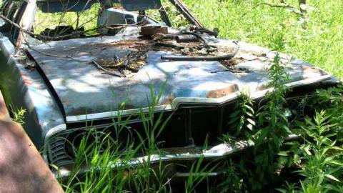 Summer exploring - DSCN1438.jpg