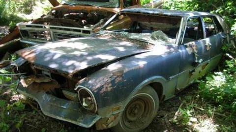 Summer exploring - DSCN1457.jpg