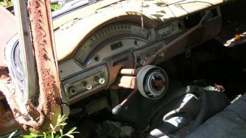 Summer exploring - DSCN1453.jpg