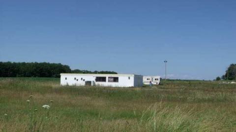 Elmvale Drive In photo 2