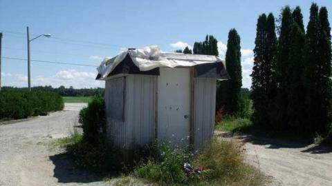 Movie Time - Elmvale-Drive-In88.jpg