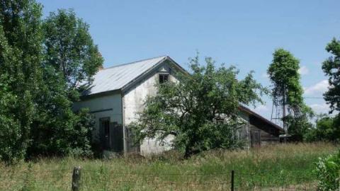 Grown In - DSCF2377.jpg