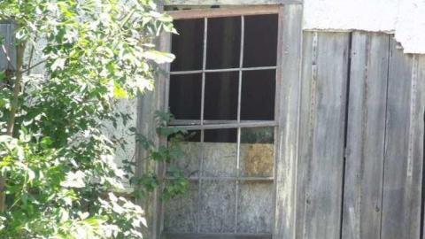 Grown In - DSCF2380.jpg