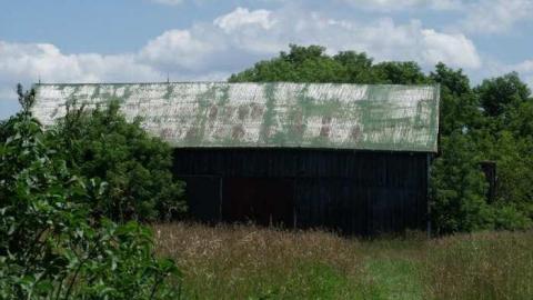 Grown In - DSCF2381.jpg