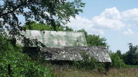 Grown In - DSCF2382.jpg