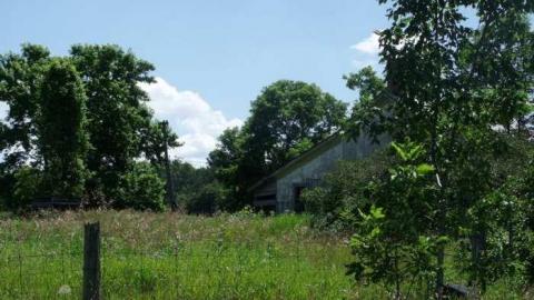 Grown In - DSCF2384.jpg