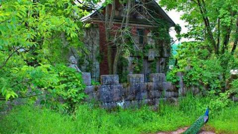 Photo from RUN FOR YOUR LIVES