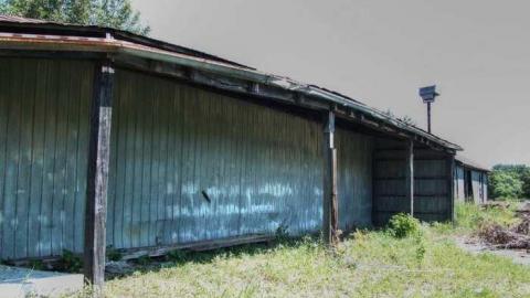 Photo from Sleeping Arabs