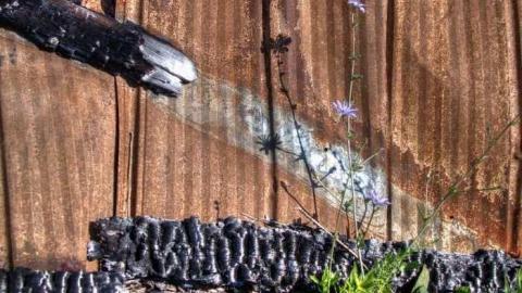 Sleeping Arabs - Sikh-Siesta10.jpg