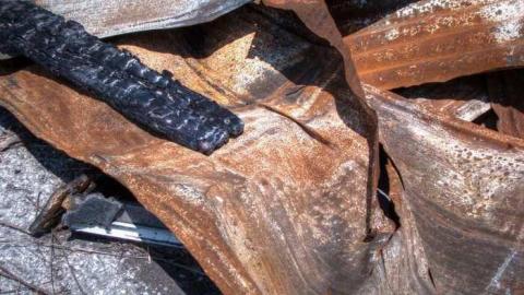 Sleeping Arabs - Sikh-Siesta20.jpg