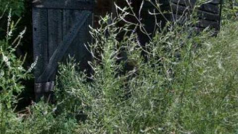 Photo from Sleeping Arabs