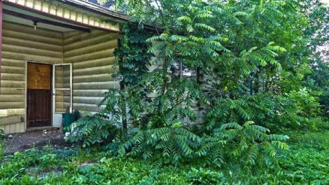 Crayons, Sex Ed and Decay - 2.jpg