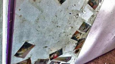 Crayons, Sex Ed and Decay - 21.jpg