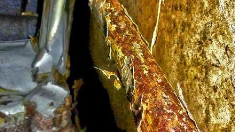 Crayons, Sex Ed and Decay - 25.jpg