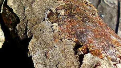 Crayons, Sex Ed and Decay - 26.jpg