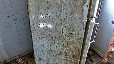 Crayons, Sex Ed and Decay - 28.jpg