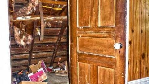 Crayons, Sex Ed and Decay - 31.jpg