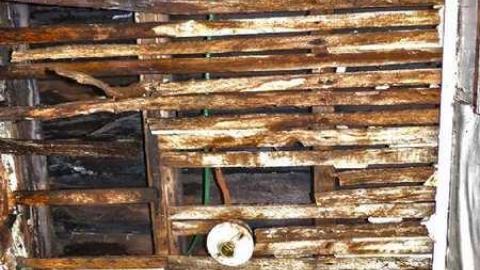 Crayons, Sex Ed and Decay - 33.jpg