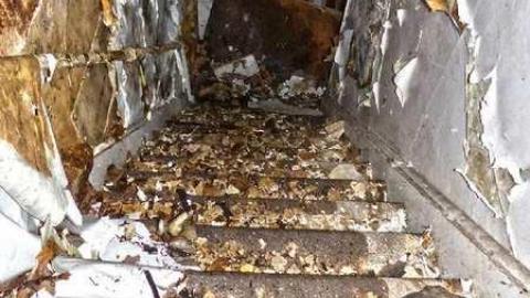 Crayons, Sex Ed and Decay - 34.jpg