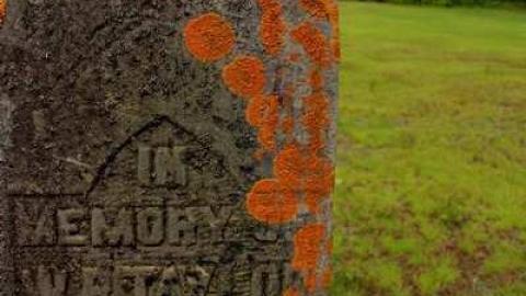 Midlothian's Past - Midlothian-Memorial-Cemetery5.jpg