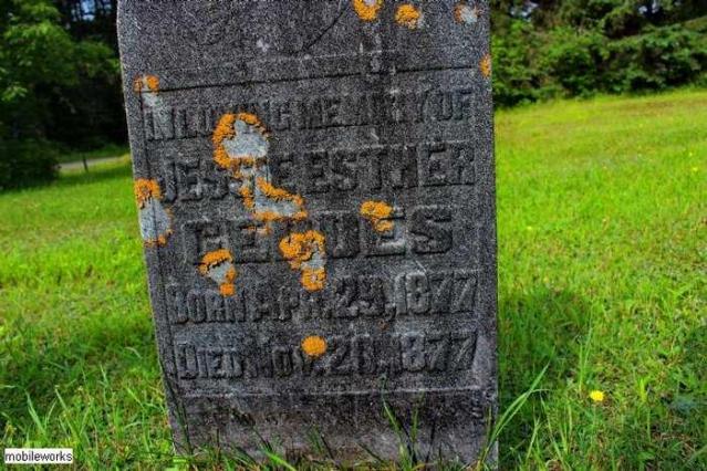 Midlothian Memorial Cemetery photo 2