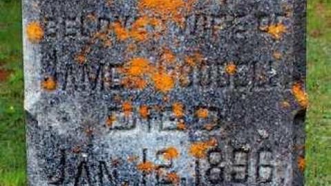 Midlothian's Past - Midlothian-Memorial-Cemetery13.jpg