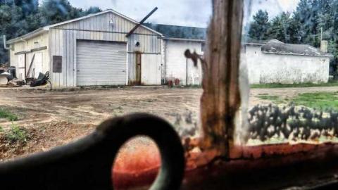 Golden Foods - 1.jpg