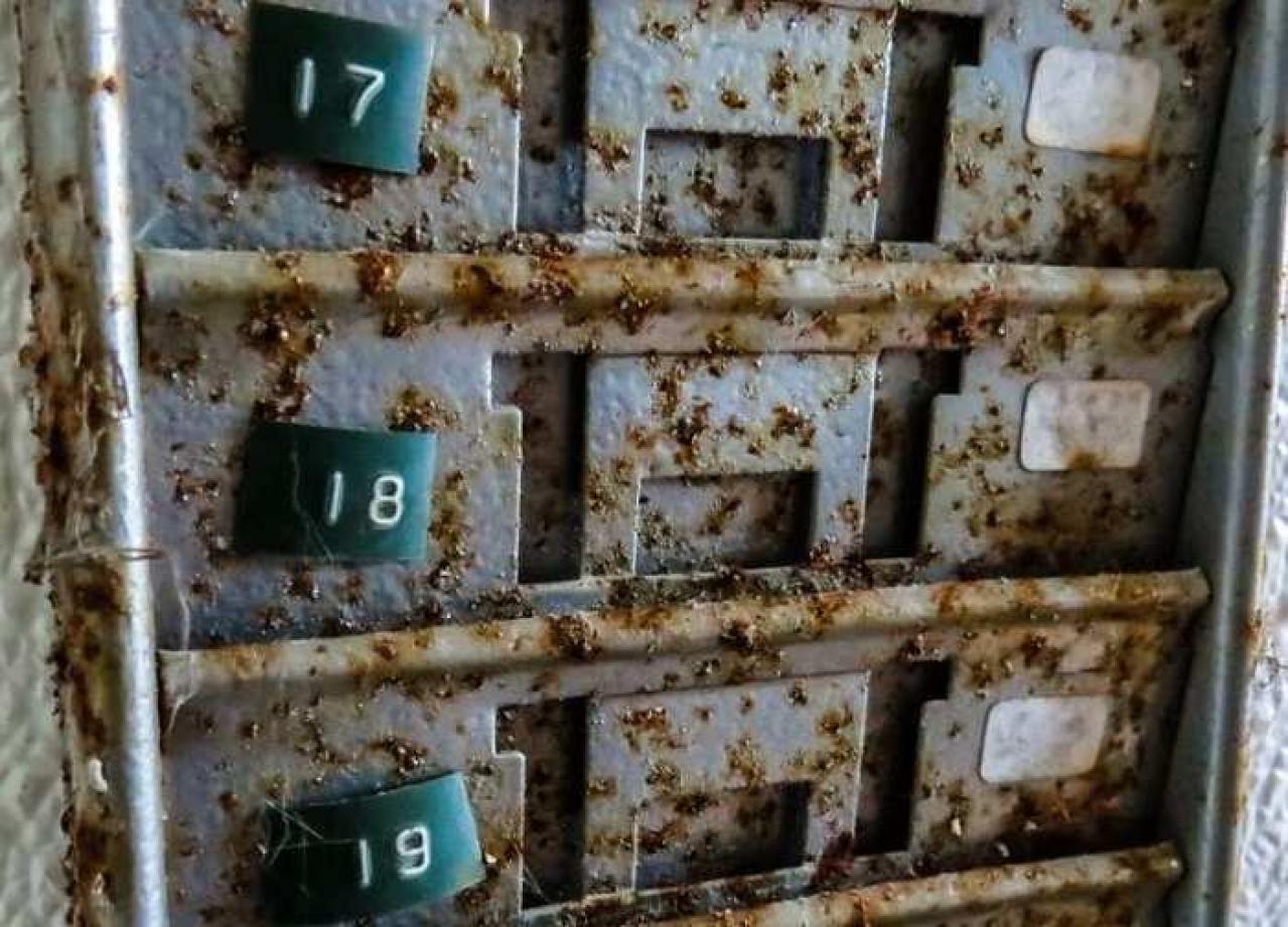 Golden Foods - 4.jpg