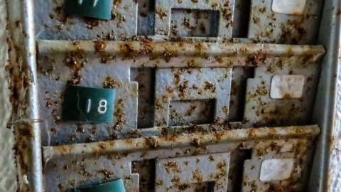 Golden Foods - 4.jpg