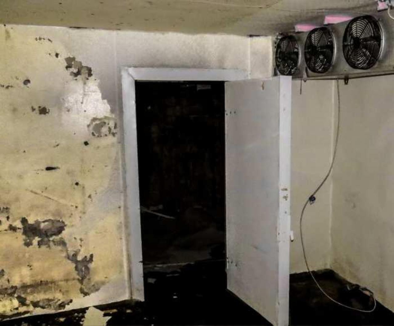 Golden Foods - 6.jpg