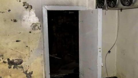 Golden Foods - 6.jpg