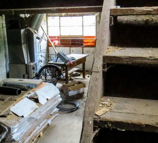 Golden Foods - 11.jpg