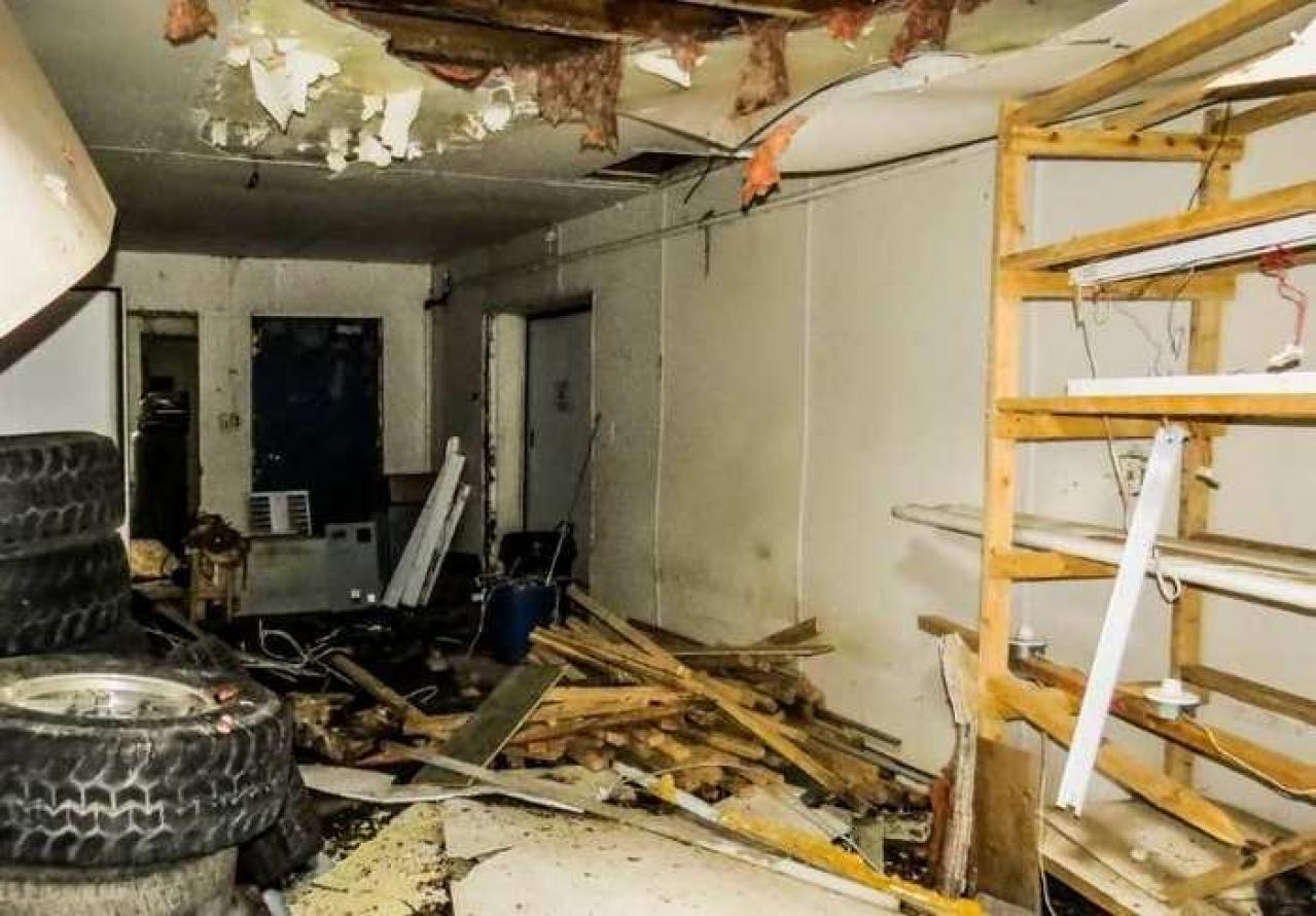 Golden Foods - 12.jpg