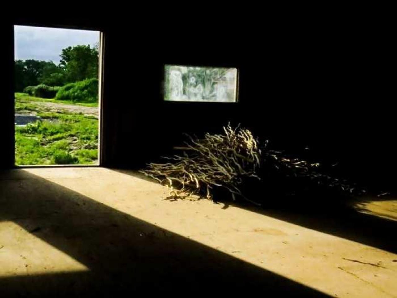 Golden Foods - 13.jpg