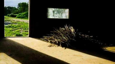 Golden Foods cover photo