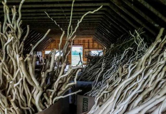 Golden Foods - 14.jpg