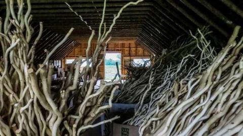 Golden Foods - 14.jpg