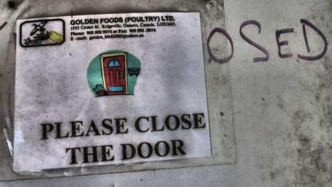 Golden Foods - 19.jpg