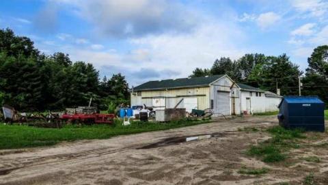 Golden Foods - 20.jpg