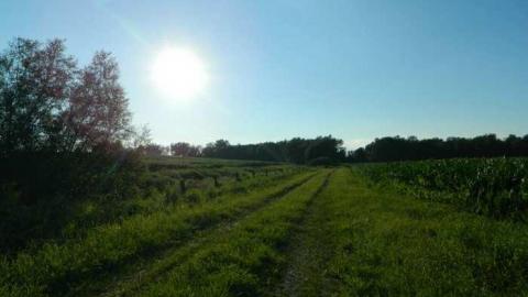 More Deet - Filthy-Silver-Bullet-Hunt-Camp12.jpg