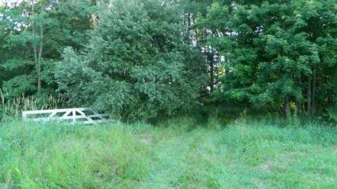 Filthy Silver Bullet Hunt Camp photo 5