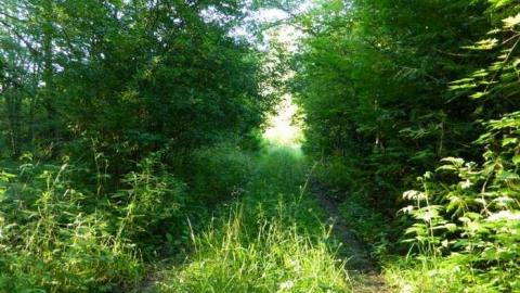 More Deet - Filthy-Silver-Bullet-Hunt-Camp11.jpg