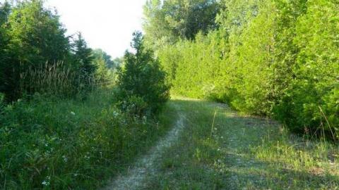 More Deet - Filthy-Silver-Bullet-Hunt-Camp23.jpg