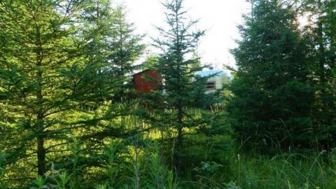 More Deet - Filthy-Silver-Bullet-Hunt-Camp10.jpg