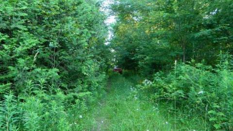 More Deet - Filthy-Silver-Bullet-Hunt-Camp5.jpg